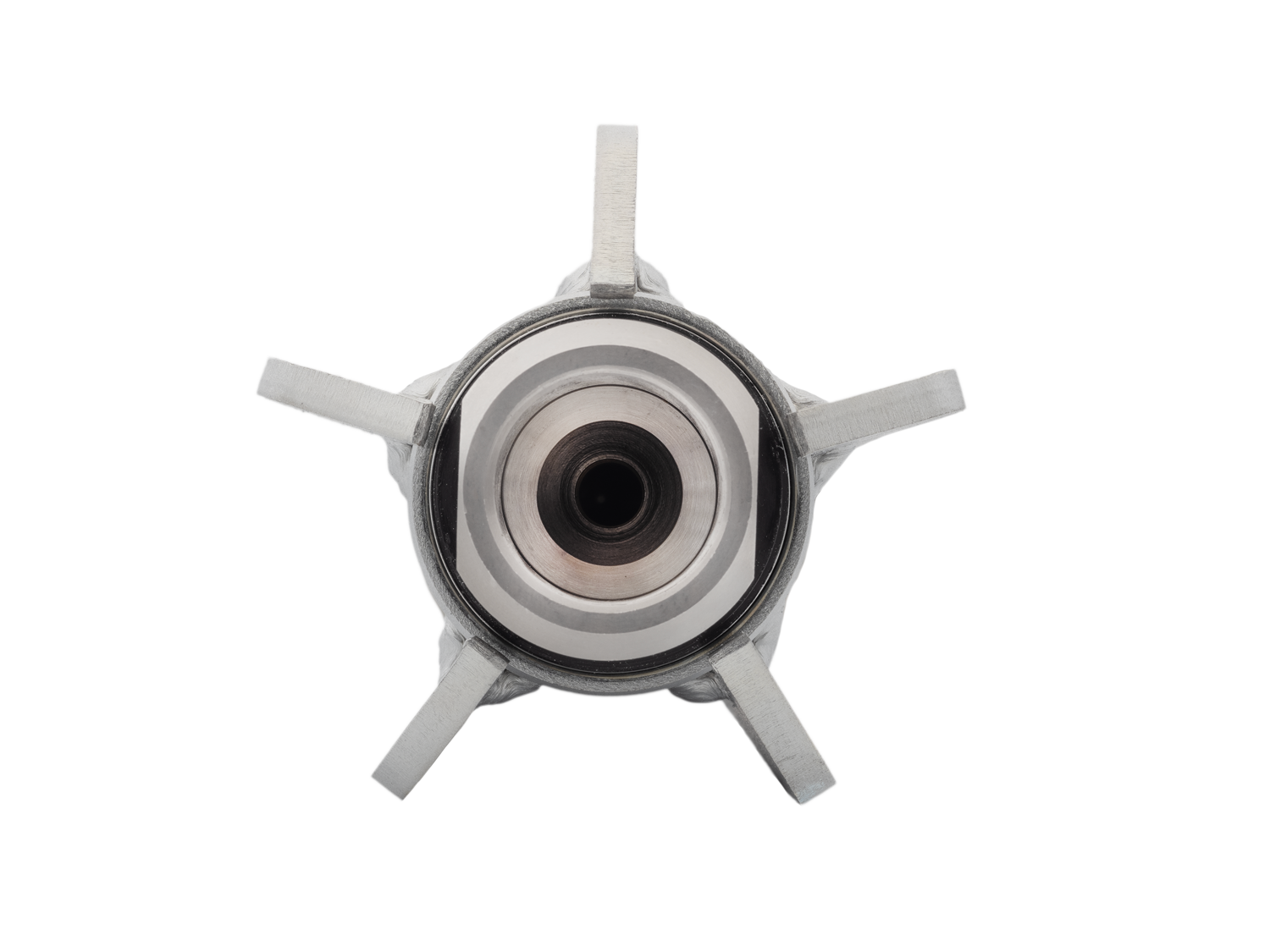 Tarantula 3/4" - Imagen 4